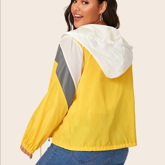 Color Blocked Wind Breaker - Picture 4 of 5